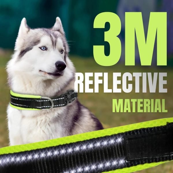 Premium Reflective Padded Dog Collar