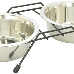 Dual Stainless Steel Food and Water Cat Bowl