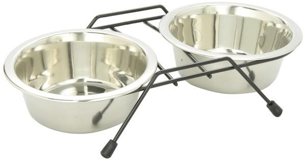 Dual Stainless Steel Food and Water Cat Bowl